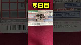 ５日目