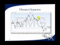 Introduction to Ramki's online course on Elliott Wave trading