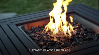 Endless Summer® LP Gas Outdoor Fire Pit (GAD15257SP)