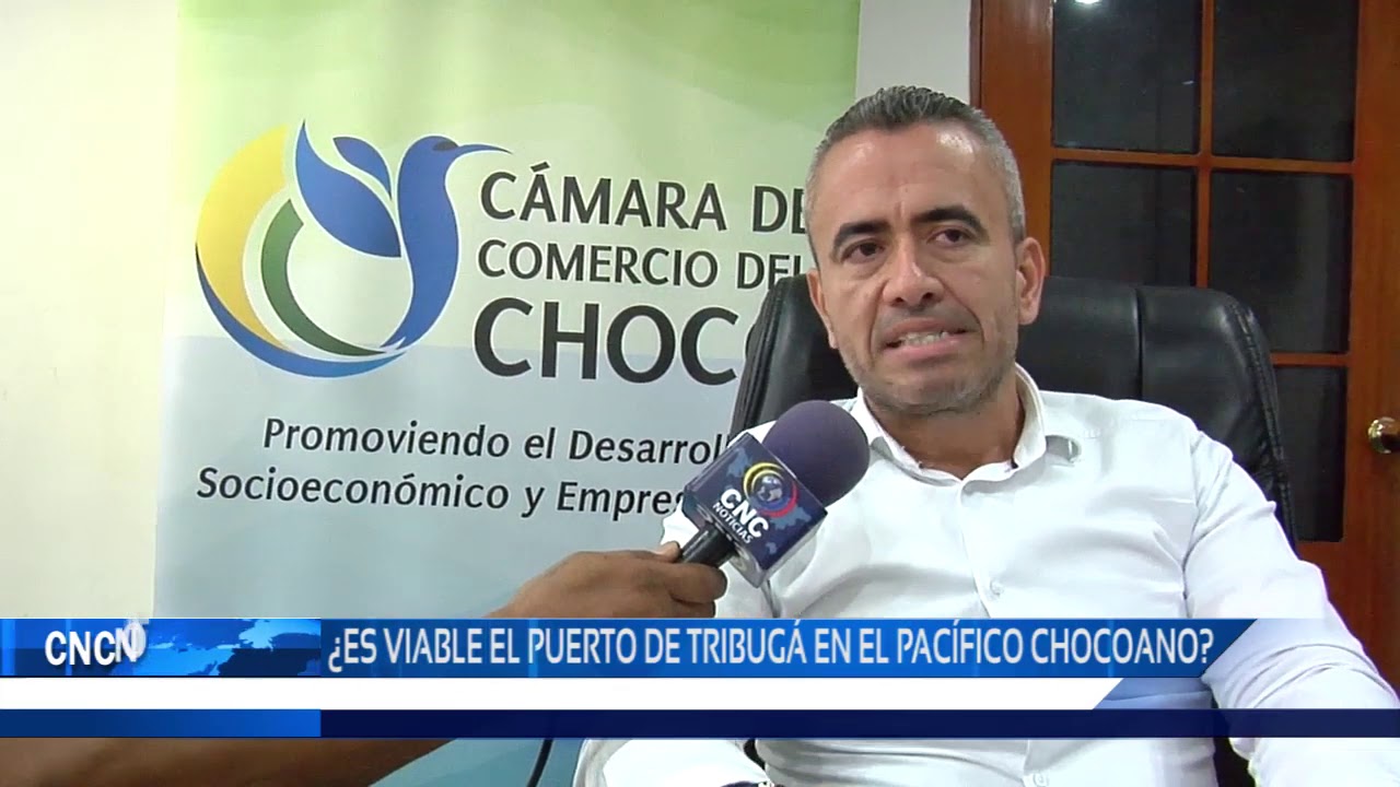 ¿Es viable el Puerto de Tribugá en el Pacífico chocoano