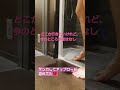 旦那さんとケンカしたままアップロード忘れてたショート動画。 #仲良し夫婦 #夫婦 #お風呂