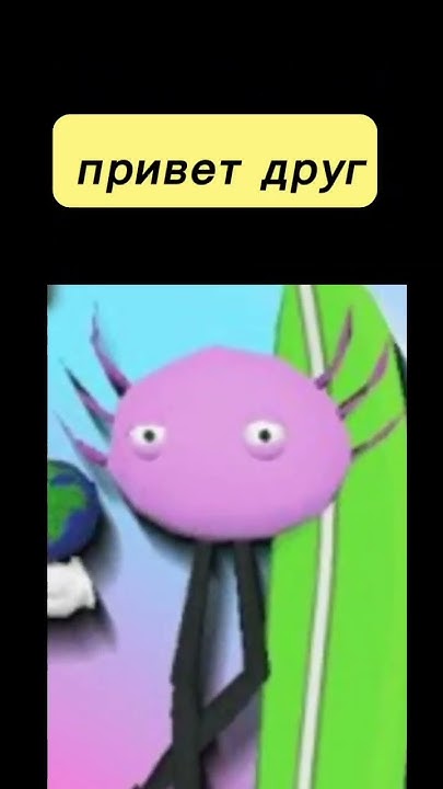 кинито пет - YouTube