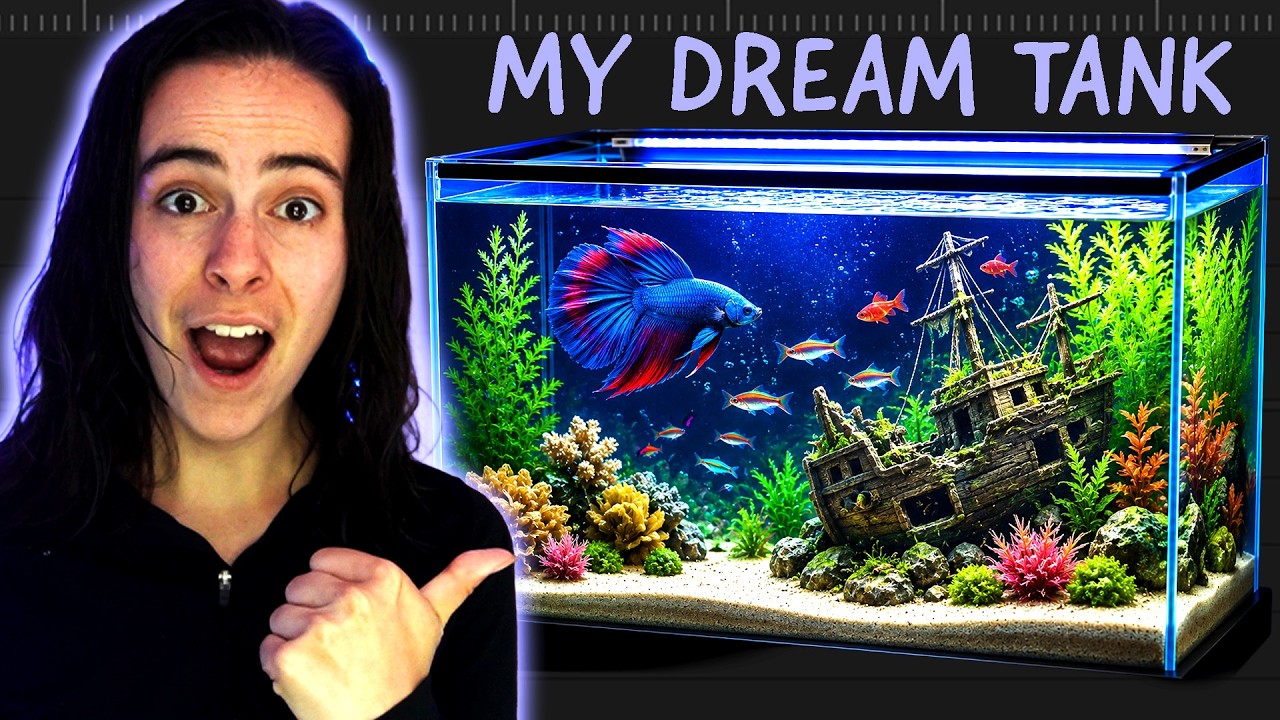 Building My Dream Aquarium as a Video Editor | Premiere Gets an Update