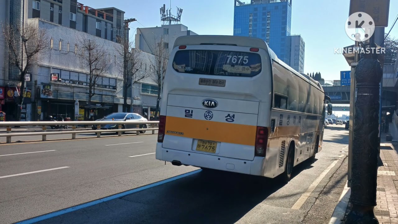 [전국대중교통 동호인(2026)님과 같이 구포역에서 찍은 버스모음집] 2탄 부산,시외버스 사진 모음집 (구포역 출사)