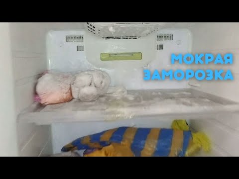 Холодильник ноу фрост намораживает лед!!!