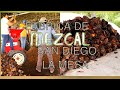 Video de San Diego La Mesa Tochimiltzingo