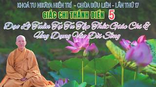 NIKAYA Giác Chi Thánh Điển 5 - Đạo Lộ Tuần Tự Tu Tập Thất Giác Chi & Ứng Dụng Vào Đời Sống