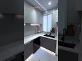 Kitchen Reno Reveal: Affordable Stainless Supplier Transformation 2025!
