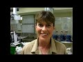 The Croc Hunter Needs a Check-Up! | Crocodile Hunter | Animal Planet