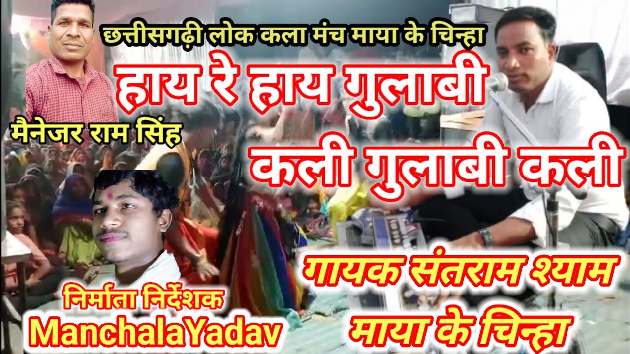 गुलाबी कली // Gulabi Kali // गायक संतराम श्याम //माया के चिन्हा // Cgarkestra मों 8815562013