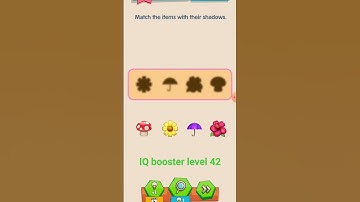 IQ boost level 42 match the items with their shadows