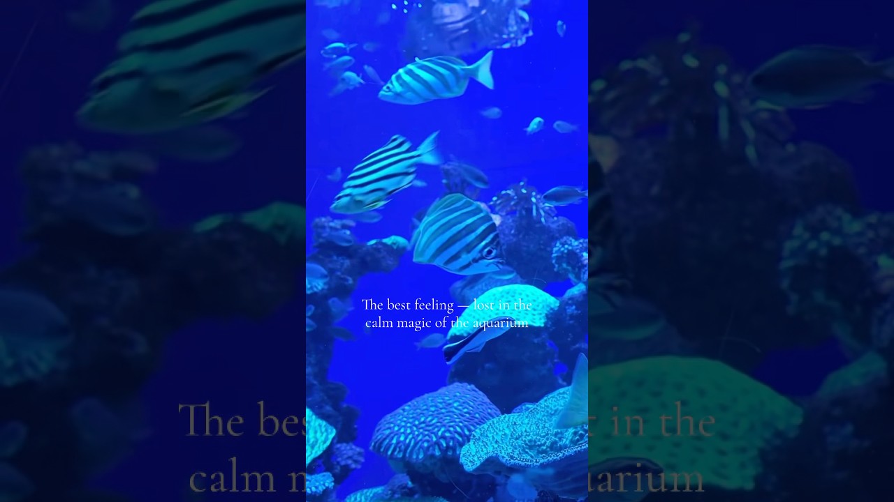 Day at Aquarium. Perth.First time                     