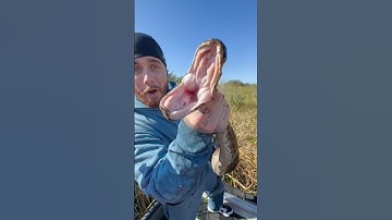 Stackz Compilation Part 42