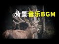 自说自话的总裁 BGM 背景音乐3 睡前必听 Relaxing Music Sleeping NCS Music 自说自话的总裁 BGM 背景音乐3 睡前必听 Relaxing Music Sleeping NCS Music