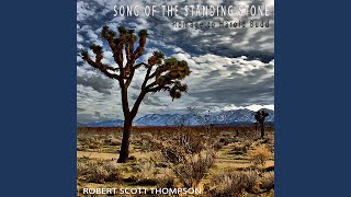 Song of the Standing Stone (Homage to Harold Budd)