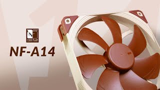 Noctua NFA14 Review  UNBEATEN After 10 Years