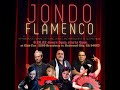 Capture de la vidéo Jondo Flamenco