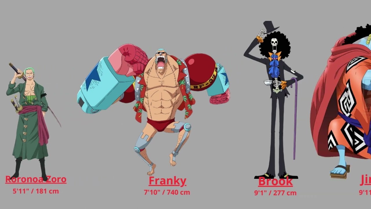 Straw Hat Crew Size Comparison