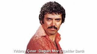 YILDIRAY ÇINAR : DAĞLARI MOR ÇİÇEKLER SARDI