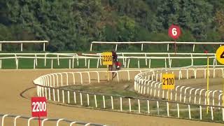 YEŞİLÇİVRİLİM 1000 metre derece 1 13 rahat   15 10 2023 PAZAR