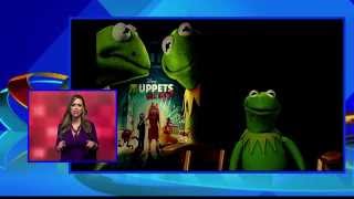 Jessica Chats With Kermit The Frog Jessica Chats With Kermit The Frog