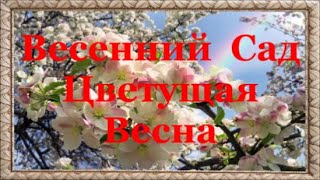 Вот И Пришла  Весна. Весенний  Сад  Цветущая Весна So Spring Has Come. Spring Garden Blooming Spring