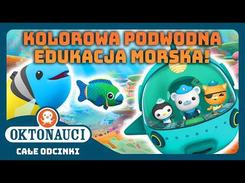 Oktonauci - 🌈 Kolorowy ocean 🌊 | Kompilacja | Całe odcinki