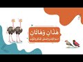 هذان هاتان اسم الإشارة للمثنى المذكر والمؤنث كيف أ عب ر عن 