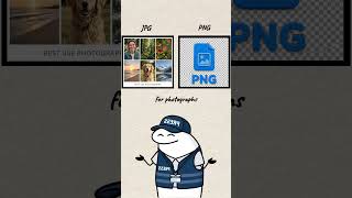 JPG vs PNG: What’s the Difference?