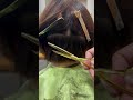 くせ毛をいかしたショートカット #haircut #hair #단발펌스타일#헤어컷