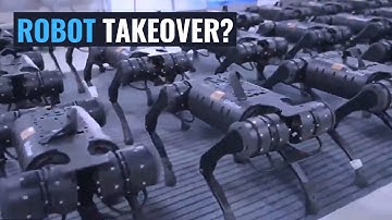 Aliengo a Four-Legged Robots Moving in Unison