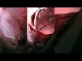 https://youtu.be/jpyX6HkvzkA