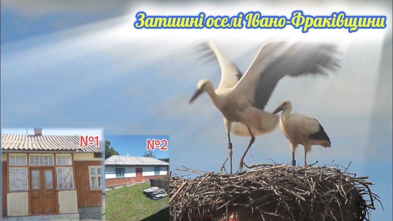 🏠Продаж затишних осель на ІВАНО-ФРАНКІВЩИНІ | Села біля Карпат #дім,#іванофранківщина,#оселя,#село,