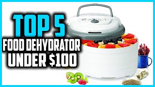 ✅Top 5 Best Food Dehydrator Under $100 in 2025