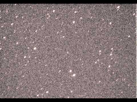 Potentially Hazardous Asteroid 2013 QR1: 24 aug. 2013