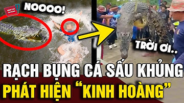 Rạch bụng con CÁ SẤU khổng lồ, người dân hãi hùng khi thấy 