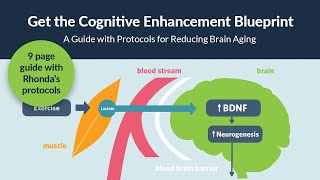 Get the Free 9-Page BDNF Protocol Guide: The Cognitive Enhancement Blueprint