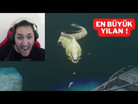 OKYANUSTA DEV YILAN GEMİMİ BATIRDI ! STRANDED DEEP (6. BÖLÜM)