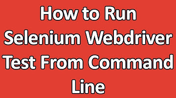 Run selenium script using batch file