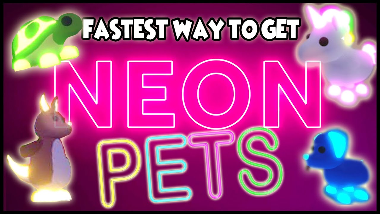 Fastest Way To Get Neon Pets In Adopt Me Roblox How To Get Neon - cookie chomper 13 roblox profile