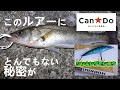 キャンドゥ釣具のシンキングミノーでシーバスが釣れたがそのルアーにはとんでもない秘密がありました