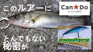 キャンドゥ釣具のシンキングミノーでシーバスが釣れたがそのルアーにはとんでもない秘密がありました