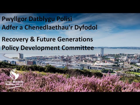 Swansea Council - Recovery & Future Generations Policy Development Committee   28 September 2021
