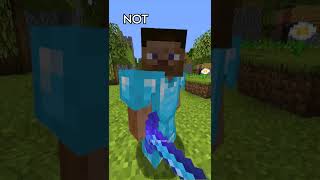 Is That Minecraft Steve? 😨