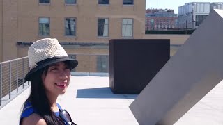 Whitney Museum New York: Guided Tour from Local Expert