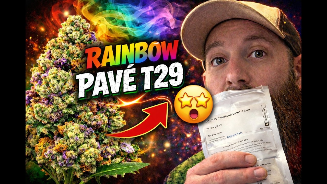 Rainbow Pavé T29 – Was NOT Expecting This… 🌈