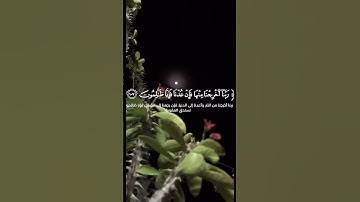وَكُنَّا قَوْمًا ضَالِّينَ🌷🤍آيات عطرة من سورة المؤمنون بصوت القارئ الشيخ حاتم المالكي🥀🌹 #قرآن
