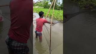 Amazing Fish Catching Video! #fishing #netfishing #villagefishing