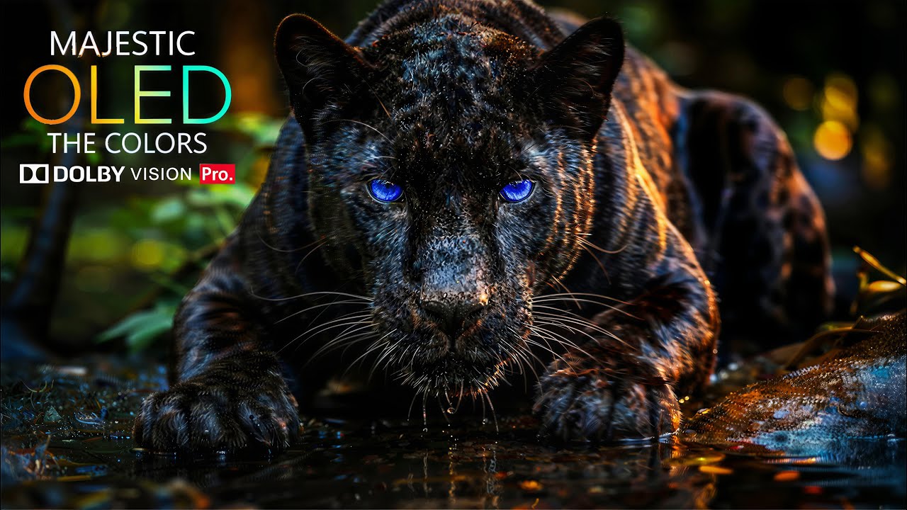 4K UHD Wildlife Wonders 🐾 Beautiful Animals & Calm Piano Music for Deep Relaxation