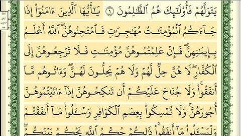 سورة الممتحنة ايمن سويد مكتوبة